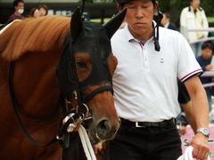 20171014 京都3R 2歳未勝利 ハルキスター 09