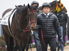 20160123 中山12R 4歳上500万下 トーセンカナロア 02