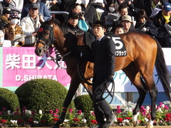 20161224 中山10R クリスマスカップ(1000) オウケンブラック 06