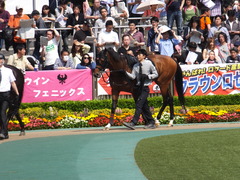 20160501 東京9R 陣馬特別(1000) オウケンブラック 05