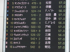 20150222 東京11R 金蹄S ショウナンアポロン 14