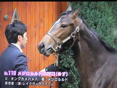 キングカメハメハ&メジロルルド2