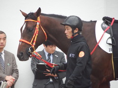 20181223 中山3R 2歳未勝利 ピンシェル 12