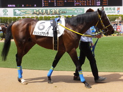 20150328 中山4R 3歳未勝利 ラッシュアタック 07
