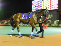 20160518 大井11R 大井記念(S2) グランディオーソ 08