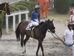 20150506 船橋競馬場 船橋10R 閃光S カベルネフラン 22
