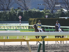 20150131 東京4R 3歳未勝利 ロジダーリング 10