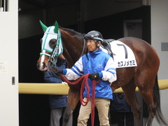 20160305 中山1R 3歳未勝利 カズノメガミ 03