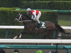 20170326 中山11R マーチS(G3) ショウナンアポロン 17