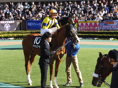 20150221 東京10R アメジストS(1600) アッシュゴールド 11