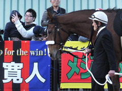20161215 名古屋11R 名古屋GP(Jpn2) ユーロビート 11