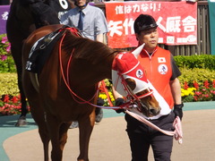 20170429 東京9R 秩父特別(1000) レーヌドブリエ 09