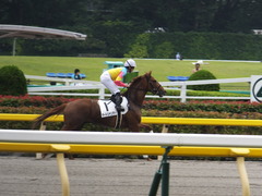 20160619 東京4R 3歳未勝利 オートシャンティ 17