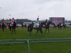 20150308 中山5R 3歳未勝利 ラッシュアタック 13