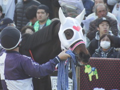 20171126 東京1R 2歳未勝利 サラート 09