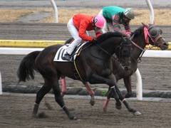 20170315 船橋1R 3歳 エッジ 15