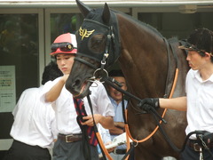 20180916 中山10R 初風特別(1000) ウォーターラボ 11