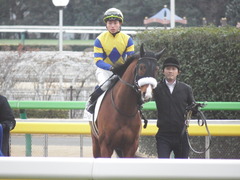 20190210 東京12R (1000) ロジスカーレット 19