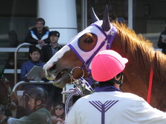 20160227 中山4R 4歳上障害未勝利 バシニアティヴ 13
