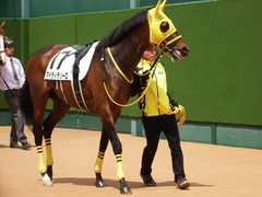 20180415 中山4R 3歳未勝利 マイティテソーロ 12
