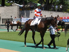 20140614 東京3R ダノンジャガー 09