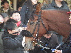 20180103 川崎11R 報知GC A1下 ユーロビート 13