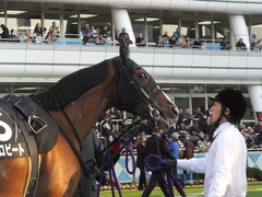 20131207 中山競馬場 ユーロビート 11