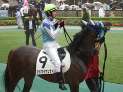 20180623 東京12R (500) アドマイヤシナイ 14