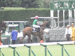 20180930 中山9R サフラン賞 2歳牝馬500万下 ポリアンサ 19