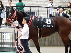 20171104 東京9R 南武特別(1000) ピッツバーグ 02