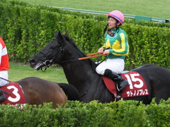 20150927 中山11R オールカマー サトノノブレス 20