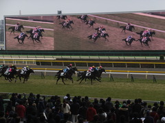 20150222 東京4R 3歳未勝利 ロジダーリング 11