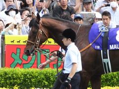 20160605 東京11R 安田記念(G1) モーリス 06