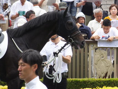 20170610 東京6R 3歳未勝利 バトルオスカー 13
