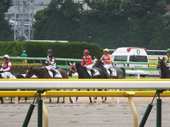 20140621 東京4R トマトリコピン 12