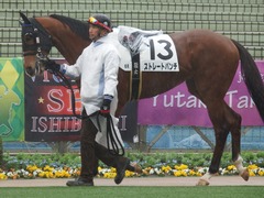 20190303 中山6R 3歳未勝利 ストレートパンチ 02
