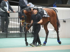 20180506 東京12R 立川特別(1000) ノーモアゲーム 02
