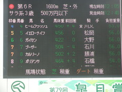 20190331 中山6R 3歳500万下 ポリアンサ 01