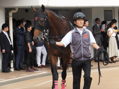 20170930 中山10R 習志野特別(1000) オウケンブラック 10