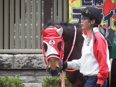 20190216 東京11R ダイヤモンドS(G3) ピッツバーグ 07