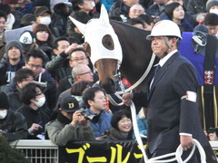 20161229 大井10R 東京大賞典(G1) サンドプラチナ 11