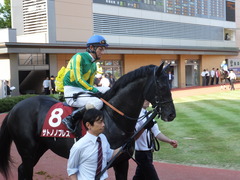 20140928 新潟11R オールカマー サトノノブレス 14