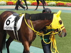 20160612 東京12R 3歳上500万下 ノーブルクリスタル 07