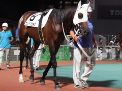 20180919 セプテンバーS B1B2 サンドプラチナ 05