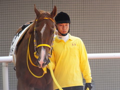 20150404 阪神5R 3歳上500万下 テイケイラピッド 02