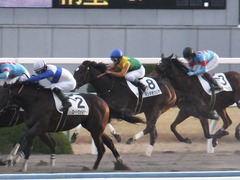 20170114 京都12R 4歳上1000万下 タンギモウジア 19