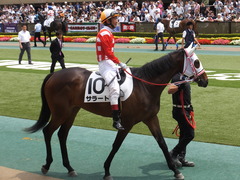 20170611 東京6R 2歳牝馬メイクデビュー サラート 16