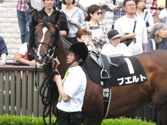 20160528 東京9R 富嶽賞(1000) プエルト 07
