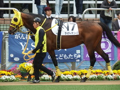 20180415 中山4R 3歳未勝利 マイティテソーロ 03