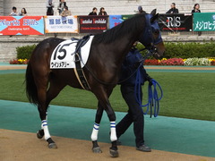 20141116 東京2R ウィンメアリー 01